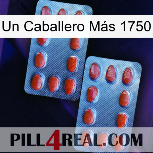 Un Caballero Más 1750 05.jpg